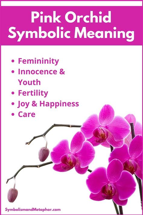 spiritual meaning of orchids.